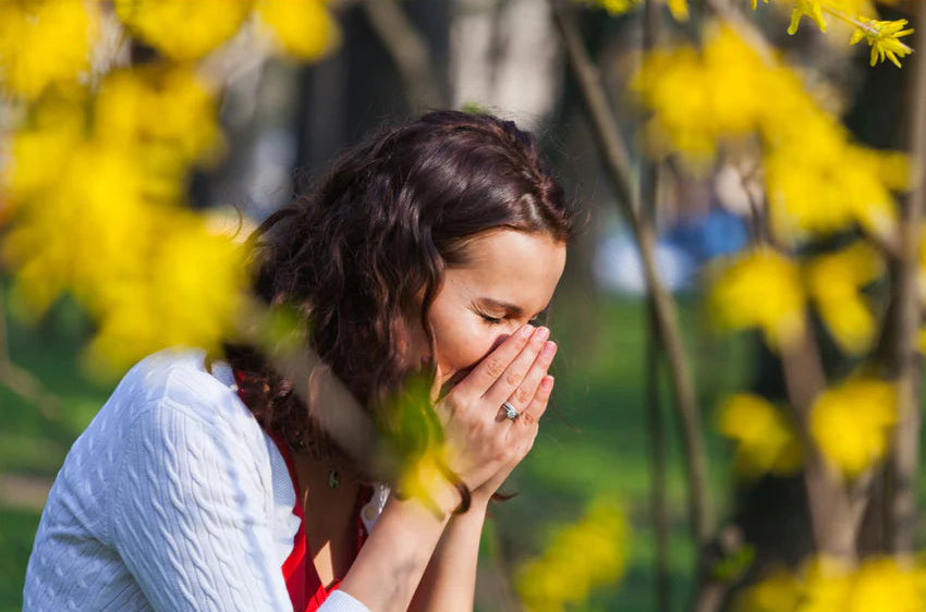 Stop Hay Fever Before It Starts: Essential Prevention Guide