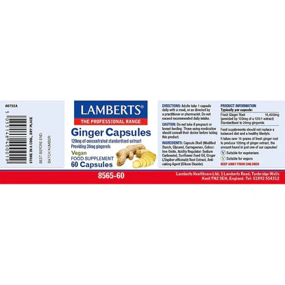 Lamberts Ginger 120mg 60 Capsules