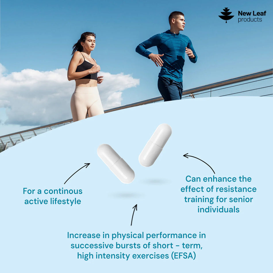 New Leaf Products Creatine Monohydrate 240 Capsules