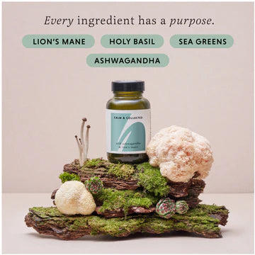 The Herbtender -CALM & COLLECTED 60 Capsules