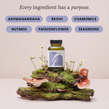 The Herbtender -DOZE & DREAM 60 Capsules