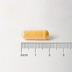 Lamberts Riboflavin Vitamin B2 50mg 100 Capsules