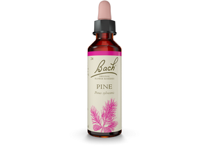
            
                Load image into Gallery viewer, Bach Pine 20ml
            
        