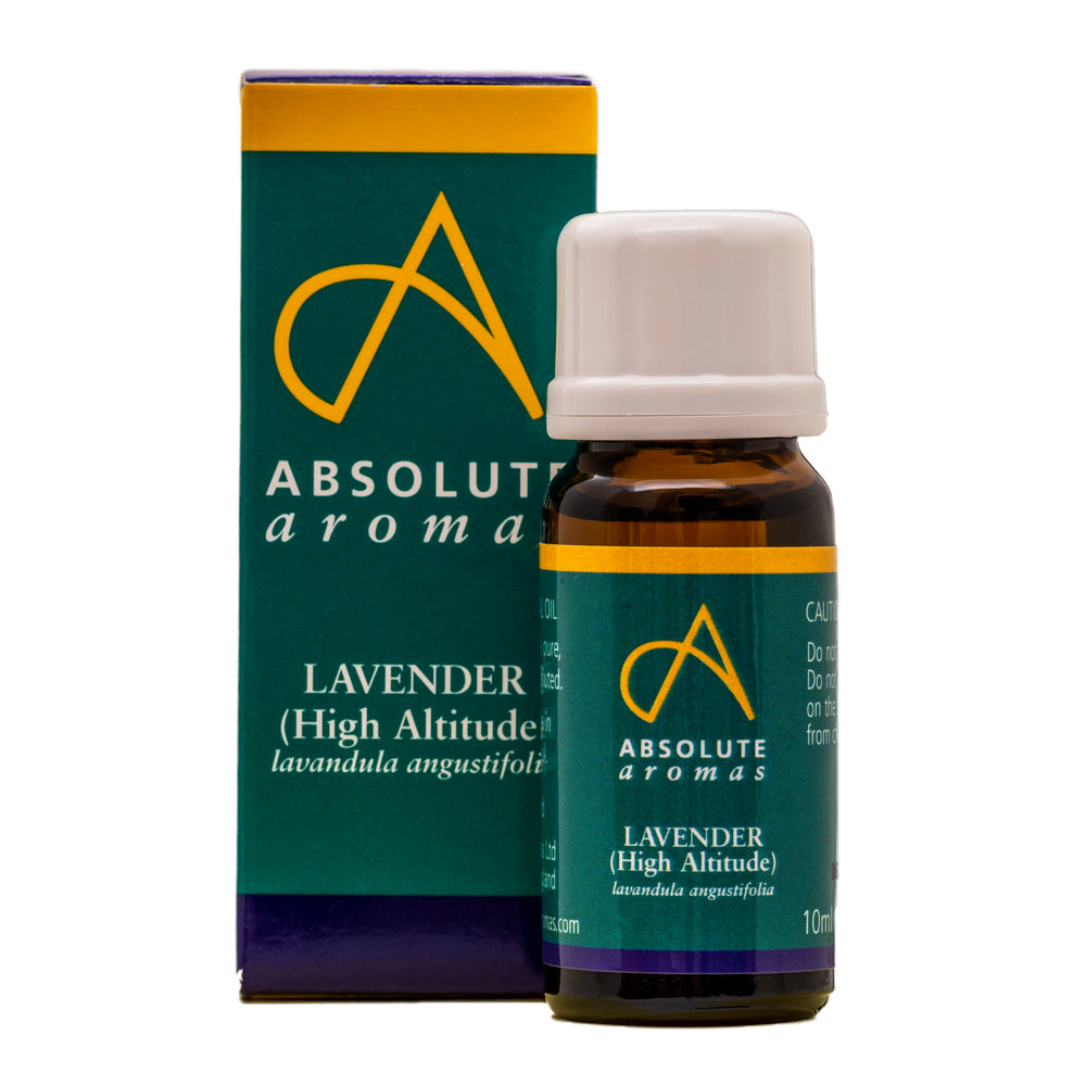 Absolute Aromas Lavender High Altitude 10ml - MicroBio Health