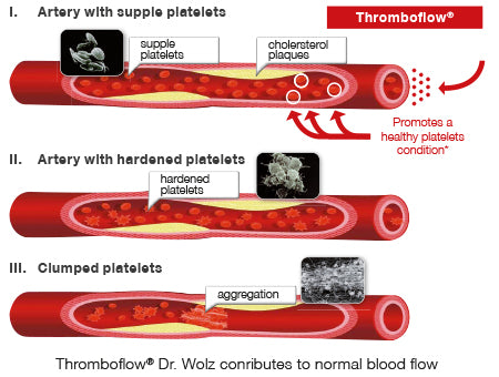 Dr Wolz Thromboflow 20 Caps - MicroBio Health