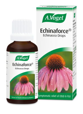 A.Vogel Echinaforce 100ml - MicroBio Health
