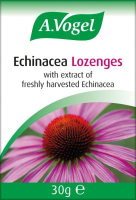 A.Vogel Echinacea Lozenges 30g - MicroBio Health