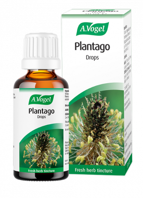 A.Vogel Plantago 50ml - MicroBio Health